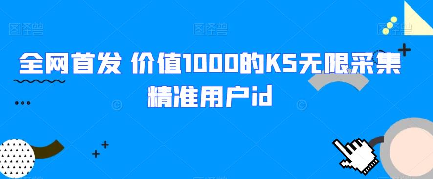 全网首发 价值1000的KS无限采集精准用户id网赚项目-副业赚钱-互联网创业-资源整合智库魔方